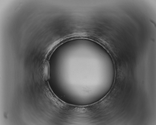 X0000099551168200805231144