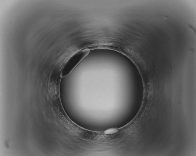 X0000099551169200805231144