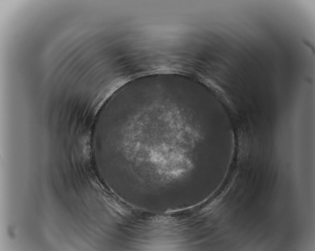 X0000099551170200805231144