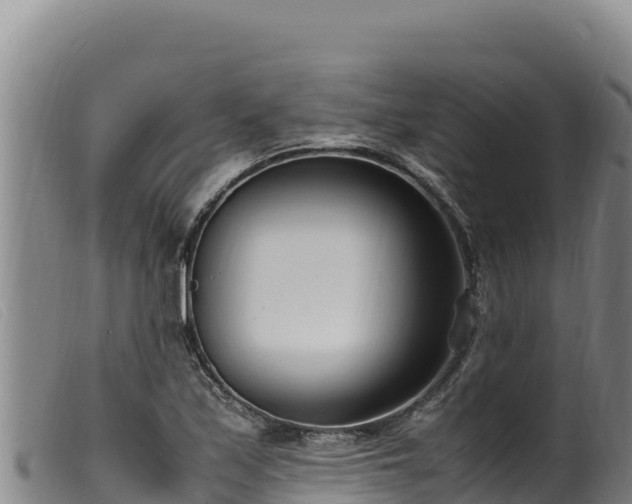 X0000099551171200805231144