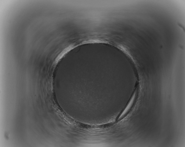 X0000099551173200805231144