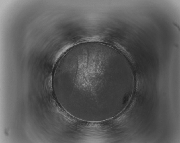 X0000099551174200805231143