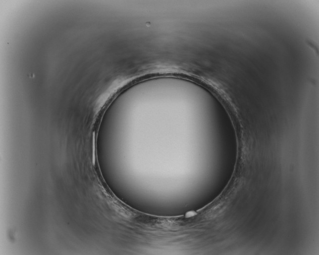 X0000099551175200805231143