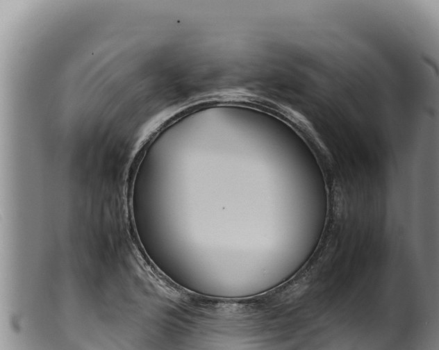 X0000099551176200805231143