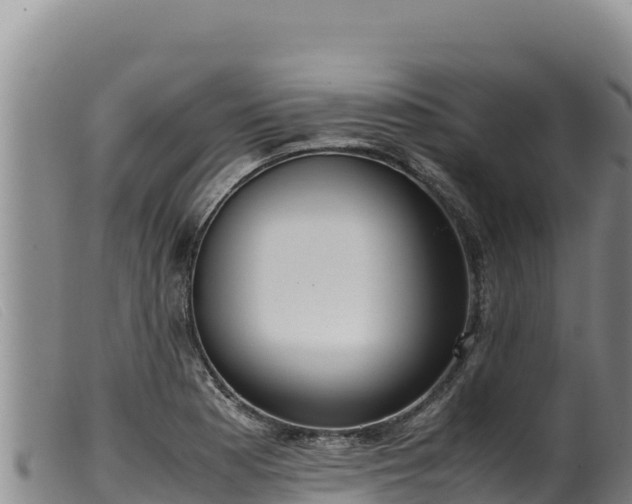 X0000099551177200805231143