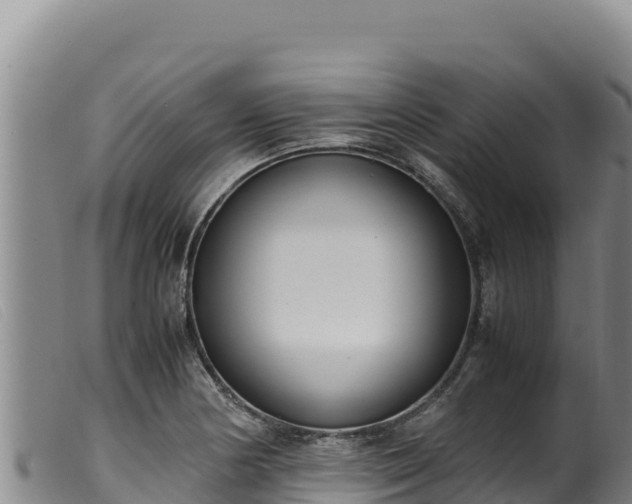 X0000099551178200805231143