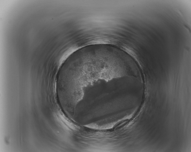 X0000099551179200805231143