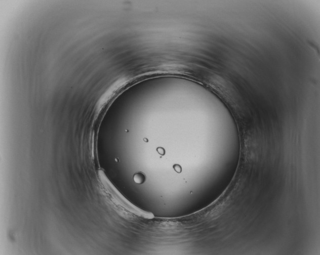 X0000099551180200805231143