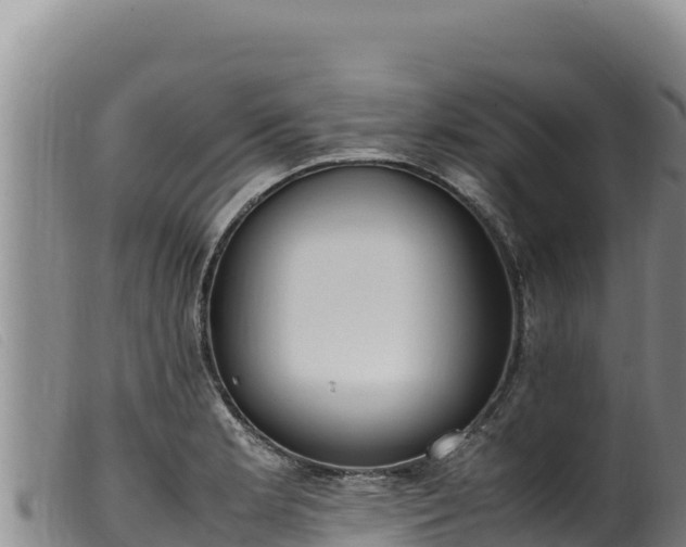 X0000099551181200805231143