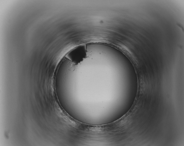 X0000099551182200805231143