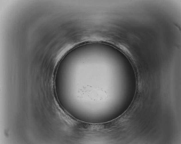 X0000099551183200805231143