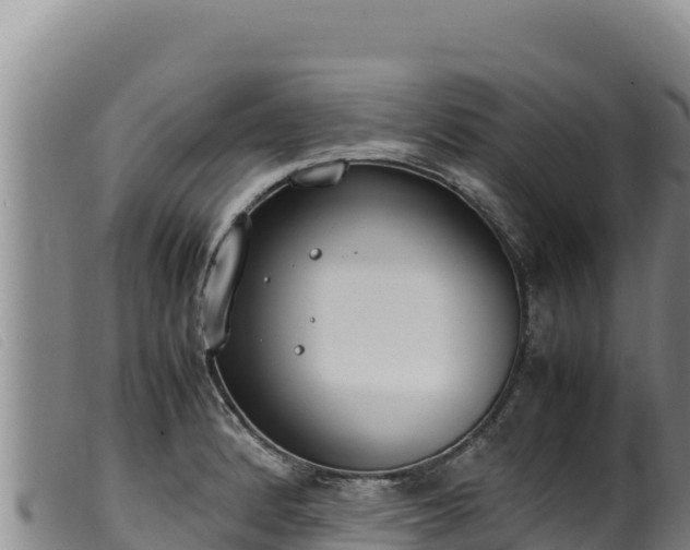 X0000099551184200805231143