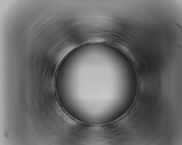 X0000099551186200805231143