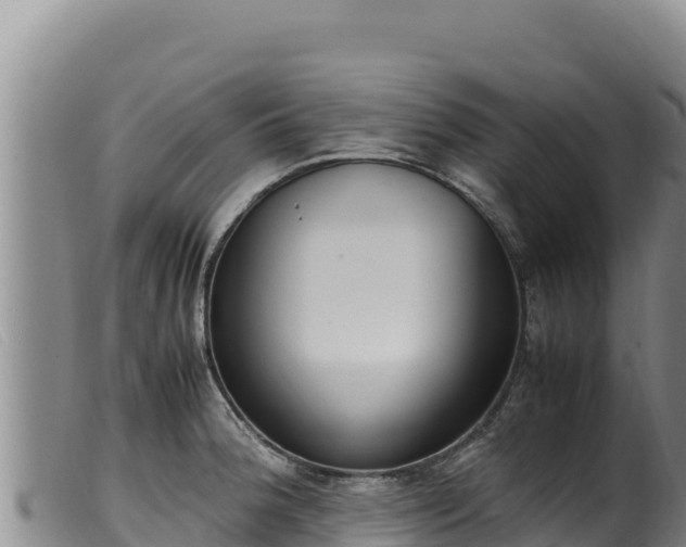 X0000099551188200805231143