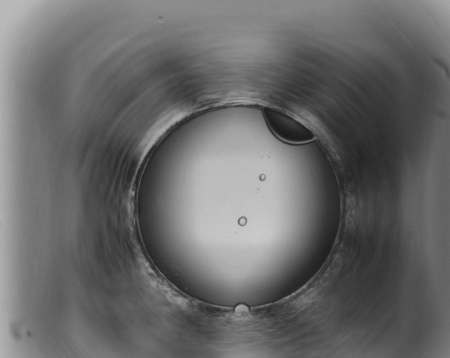 X0000099551190200805231143