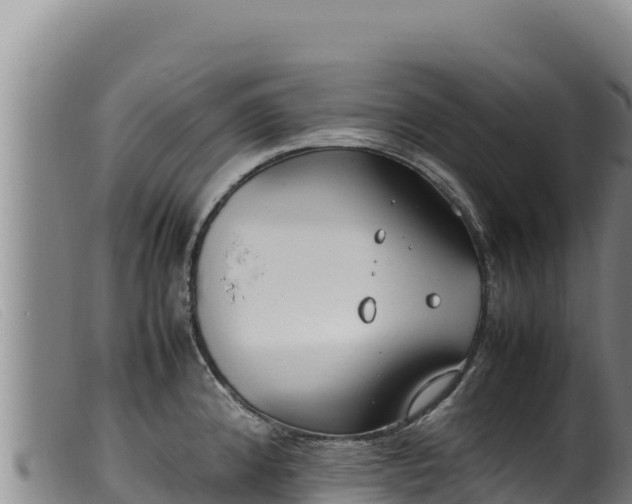 X0000099551192200805231143