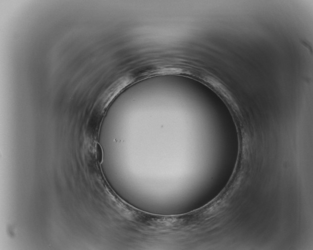 X0000099551193200805231143