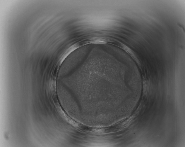 X0000099551194200805231143