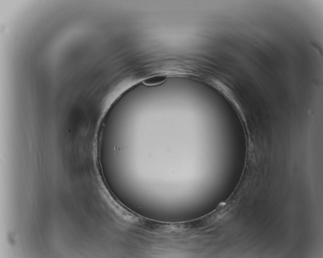 X0000099551195200805231143