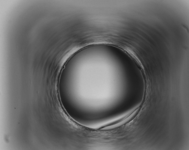 X0000099551197200805231143