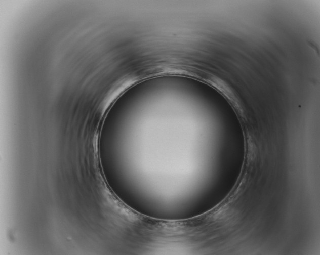 X0000099551198200805231143