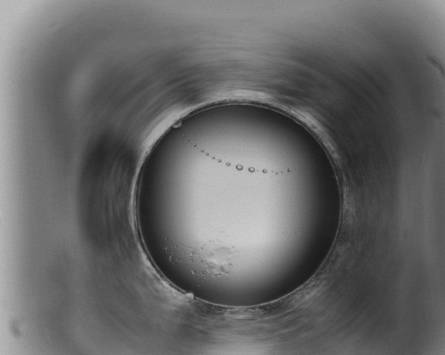 X0000099551199200805231143