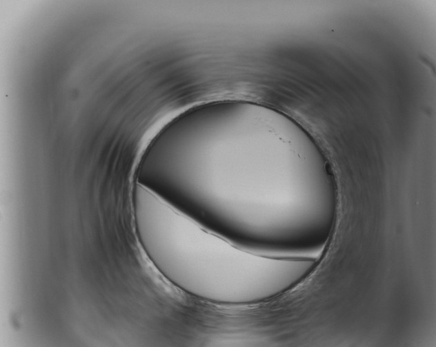 X0000099551200200805231143