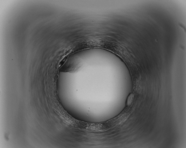 X0000099551201200805231142