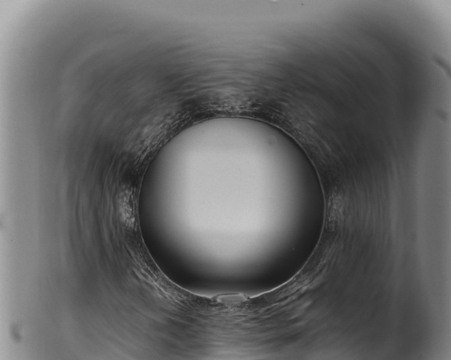 X0000099551202200805231142