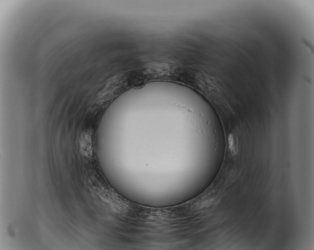 X0000099551203200805231142