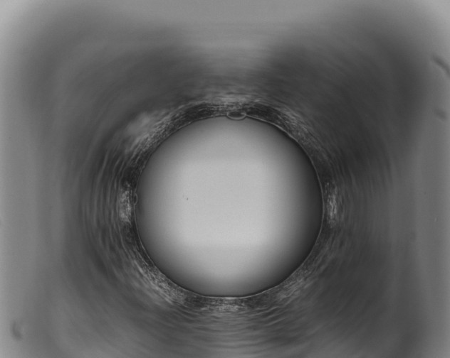 X0000099551204200805231143