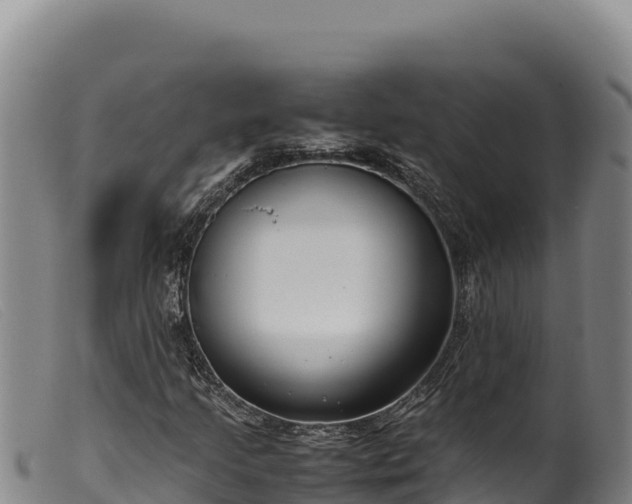 X0000099551205200805231143