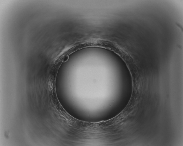 X0000099551206200805231143