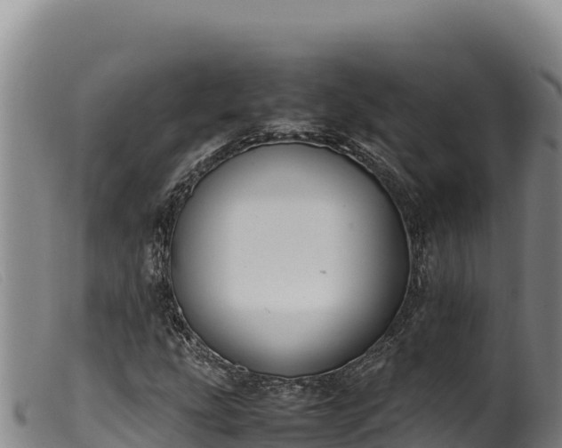 X0000099551207200805231143