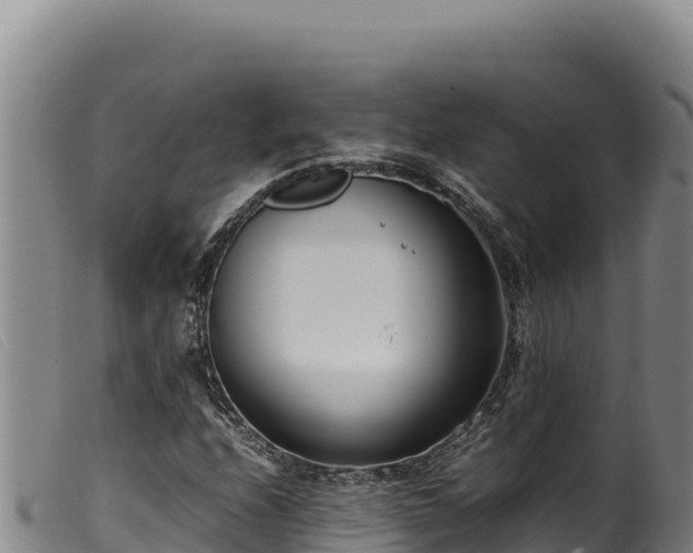 X0000099551208200805231143