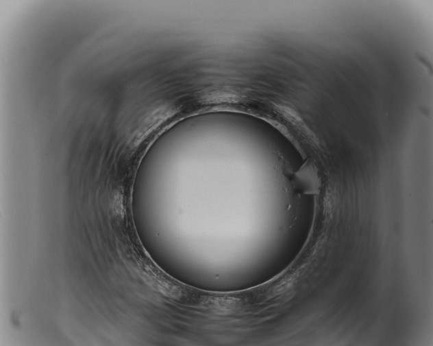 X0000099551209200805231143