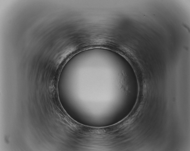 X0000099551210200805231143