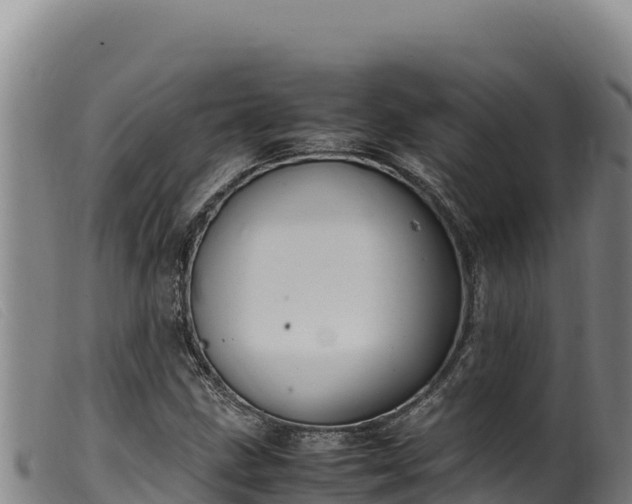 X0000099551211200805231143