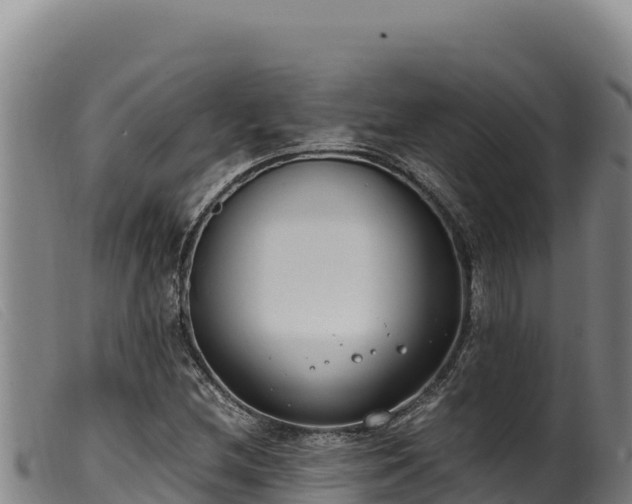 X0000099551212200805231143