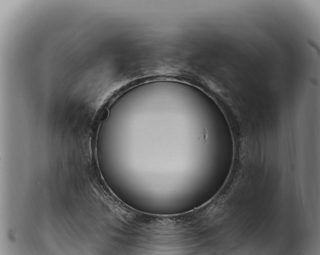 X0000099551214200805231143