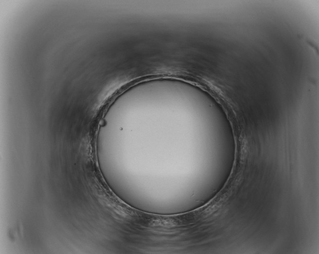 X0000099551215200805231143