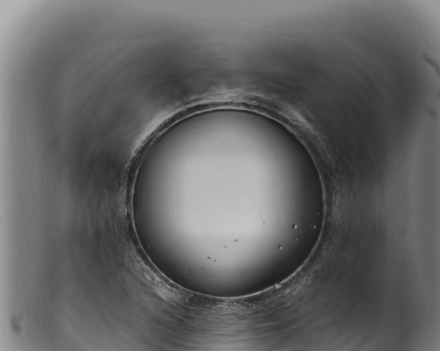 X0000099551216200805231143