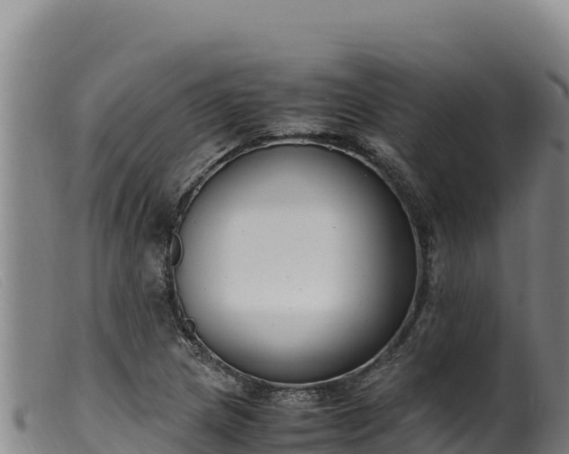 X0000099551217200805231143