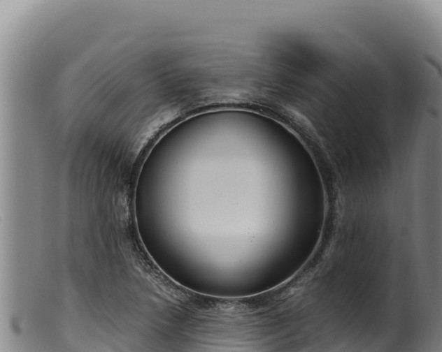 X0000099551218200805231143