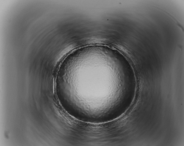 X0000099551219200805231143