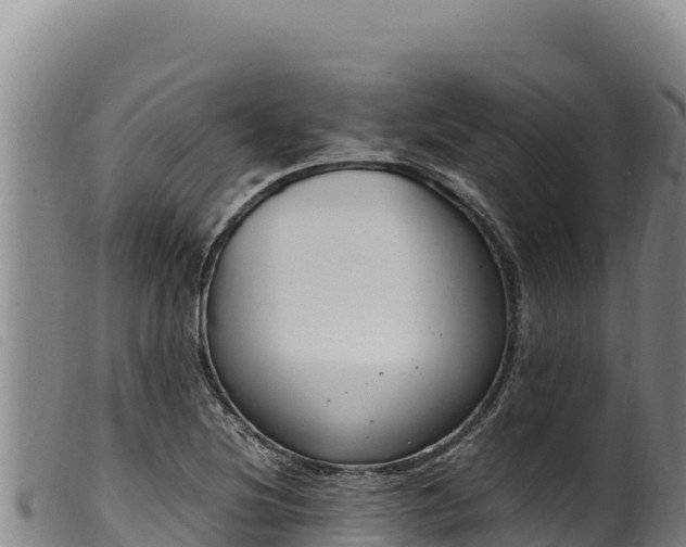 X0000099551220200805231143