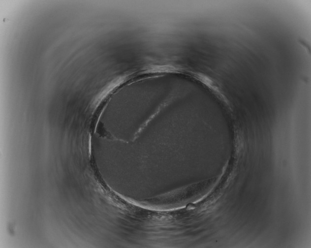 X0000099551221200805231143