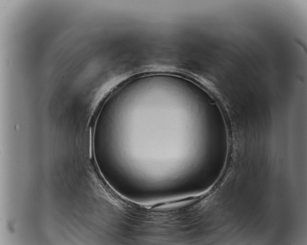 X0000099551223200805231143