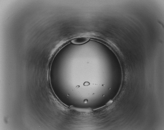 X0000099551224200805231143