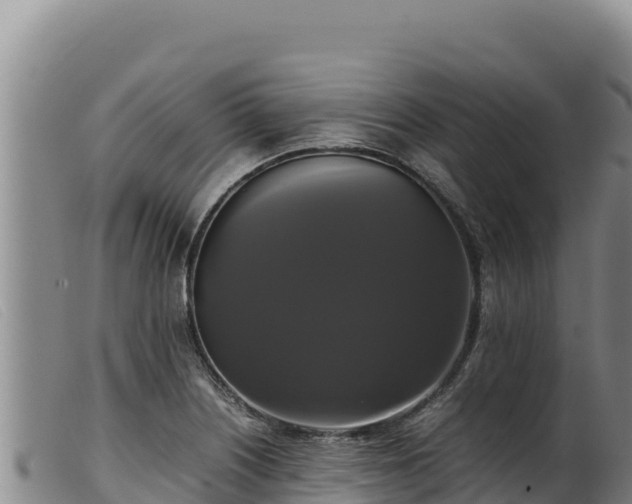 X0000099551226200805231143